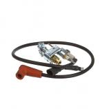 PILOT BURNER/IGNITOR/SENSOR/CABLE, NATURAL GAS